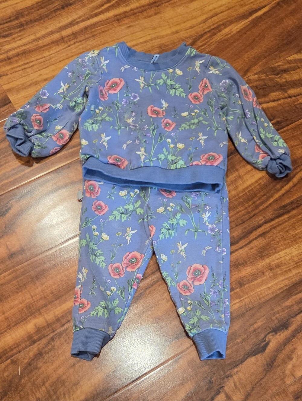 Janie and Jack x Disney GUC 2T Blue Floral Tinkerbell Sweatshirt & Pants Set